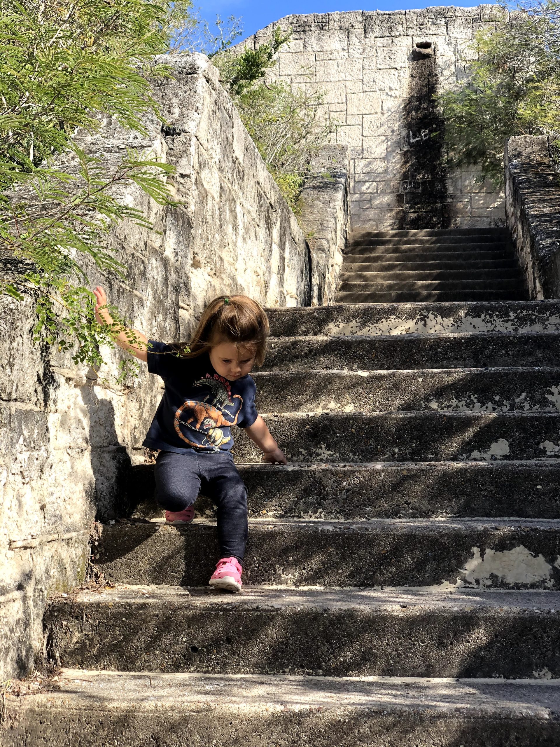 A climbing down some steps