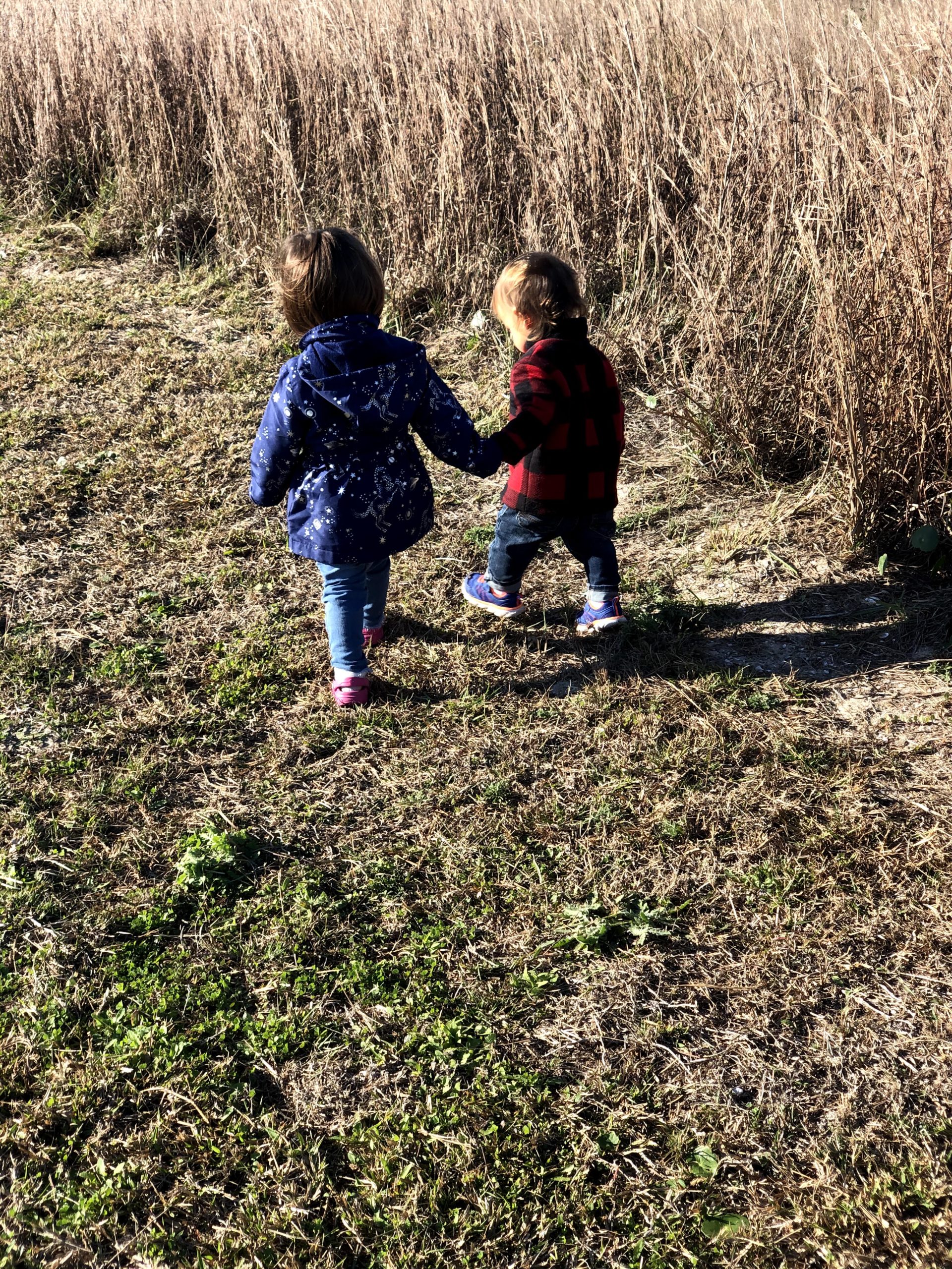 toddlers holding hands